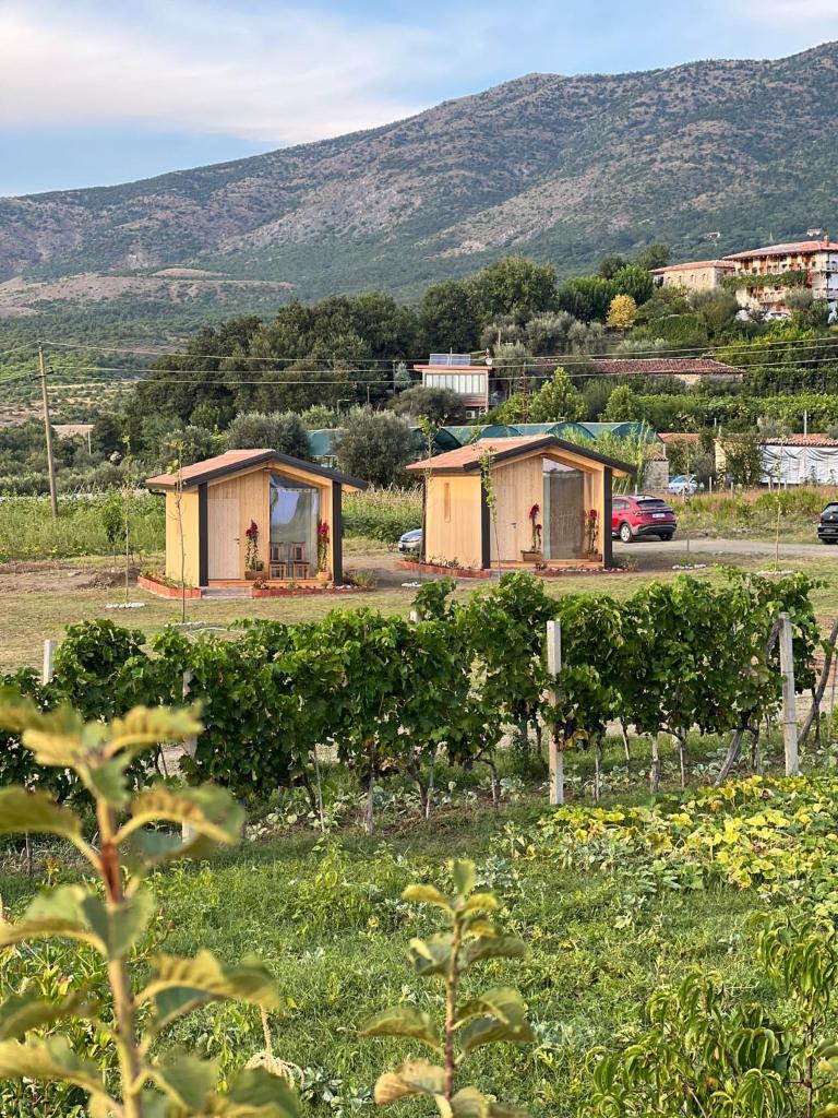 Fishta Guesthouse