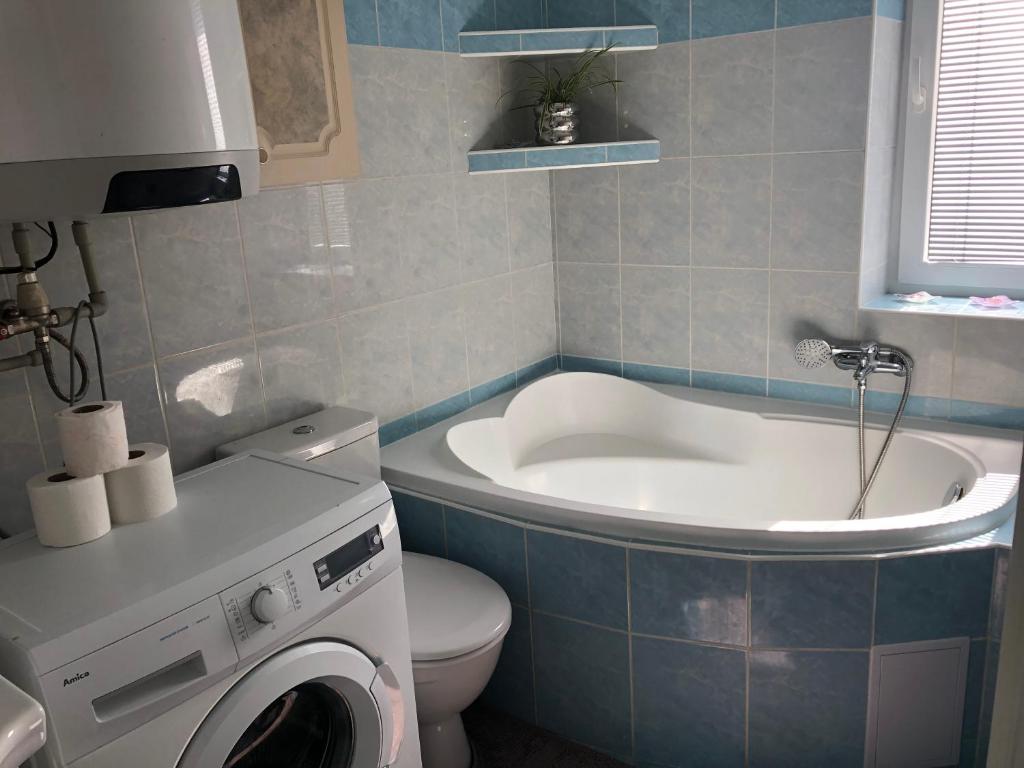 Apartmán v Týně nad Vltavou photo 1
