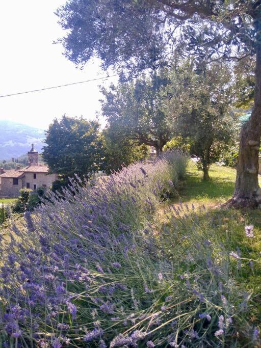 Casa Vacanza SK photo 3