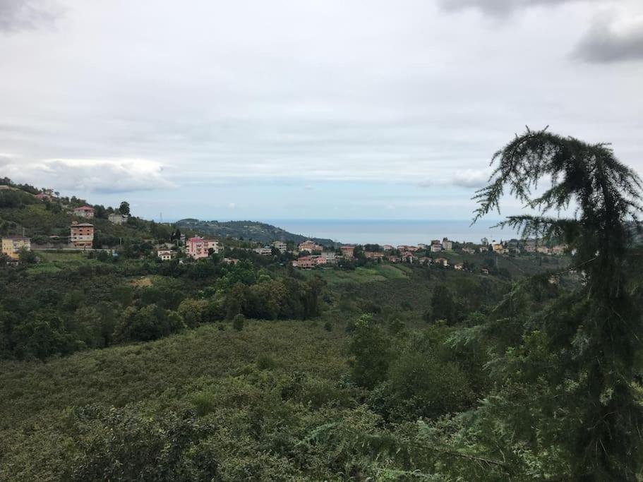 Village House With Natural Sea View Merkez Koyde
