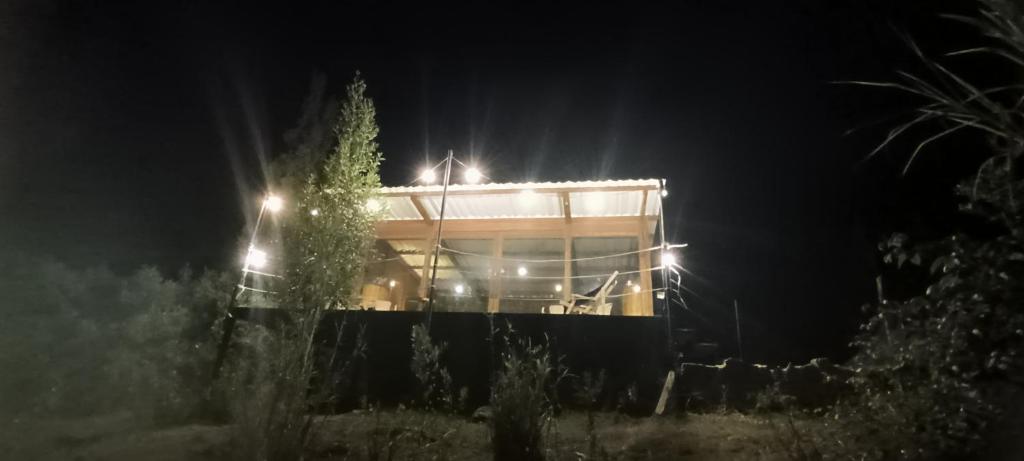 Glampwild Zaquencipa photo 1