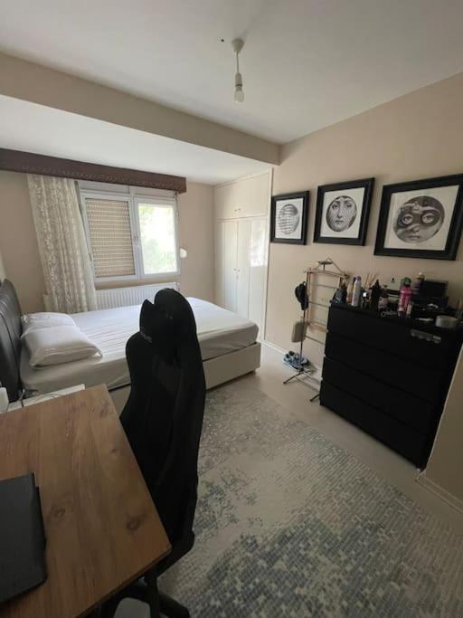 The Room photo 2