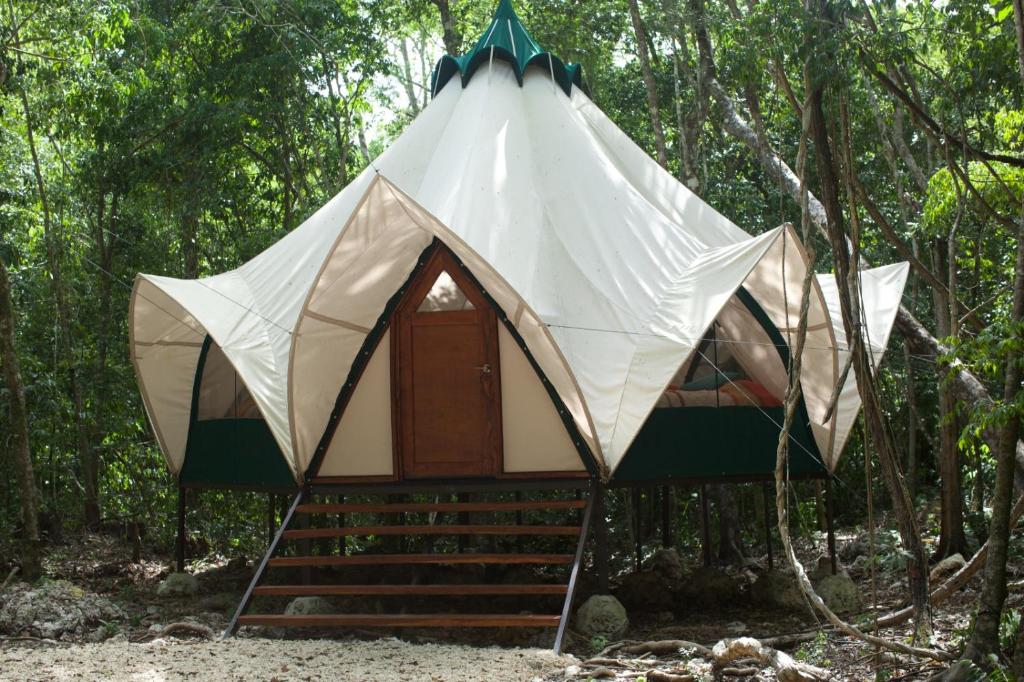 Magical jungle Eco Cabana -Tulum photo 2