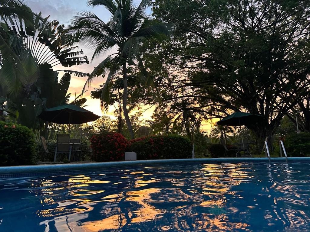 Paradise Breeze 2Bdr near Quepos Manuel Antonio photo 1