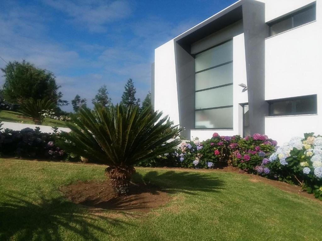Azores, Faial , Horta, Vacation Beach Front Home, First & Second Floor for rent separately photo 3