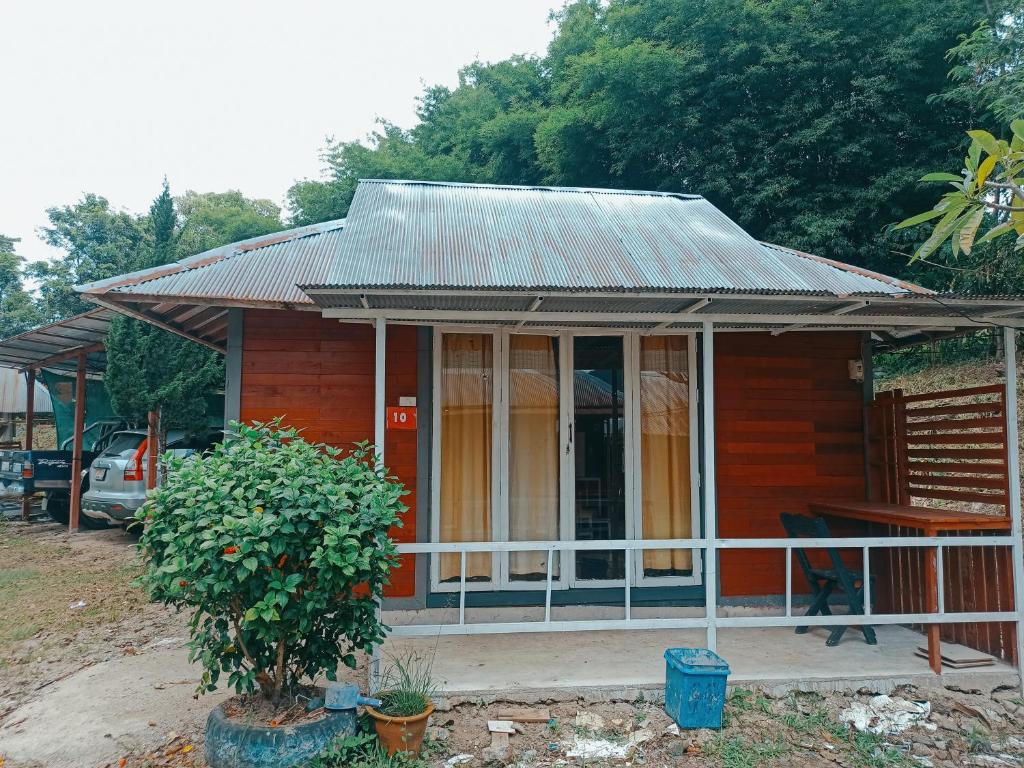 Pai Forest Resort photo 4