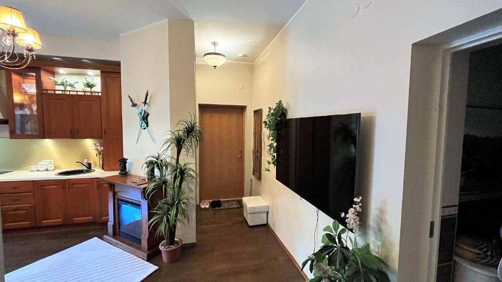 Caesar Apartments photo 4