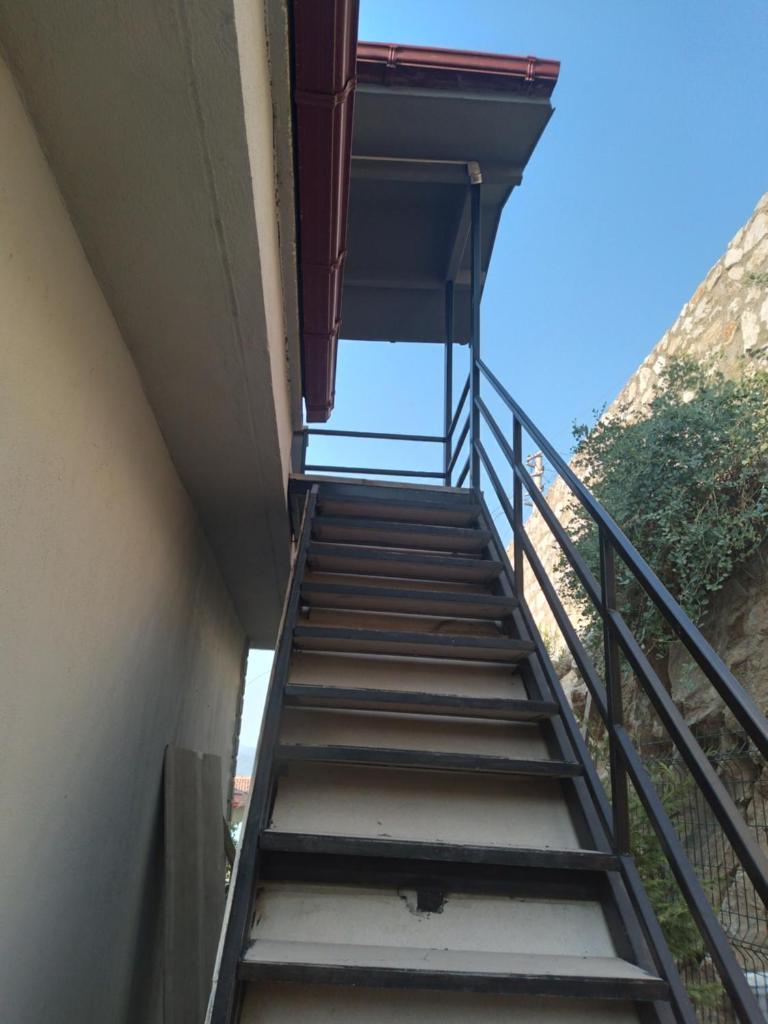 Sari papatya photo 2