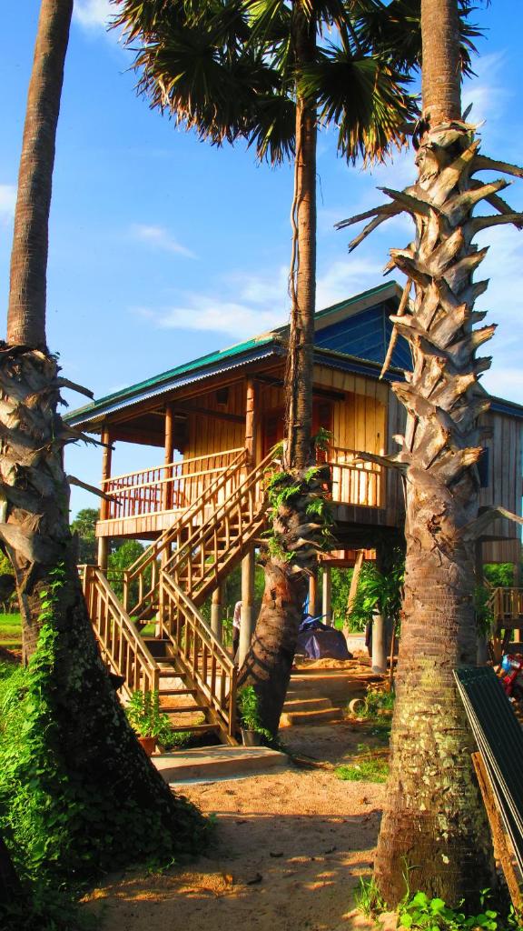 Champa Lodge photo 3