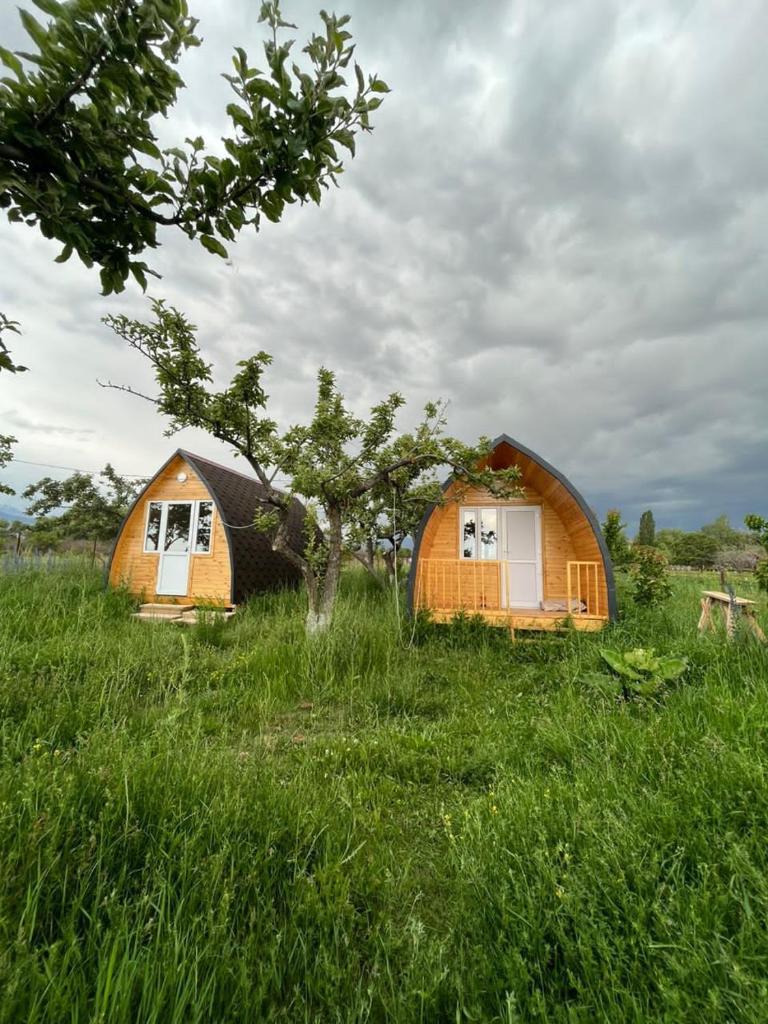 Bosogo Yurt camp photo 2