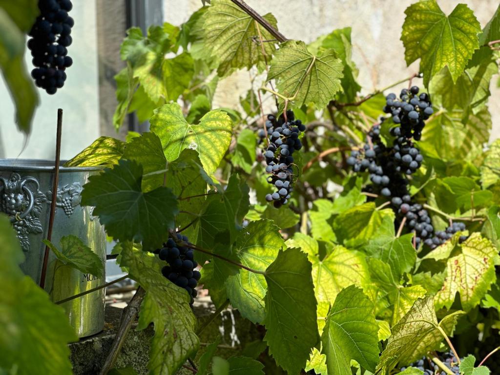 Maison au bord de l’eau photo 2