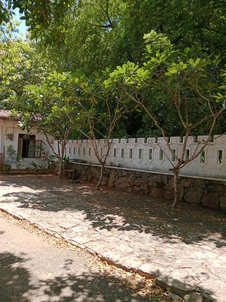 Sigiri Access Villa & Restaurant photo 4
