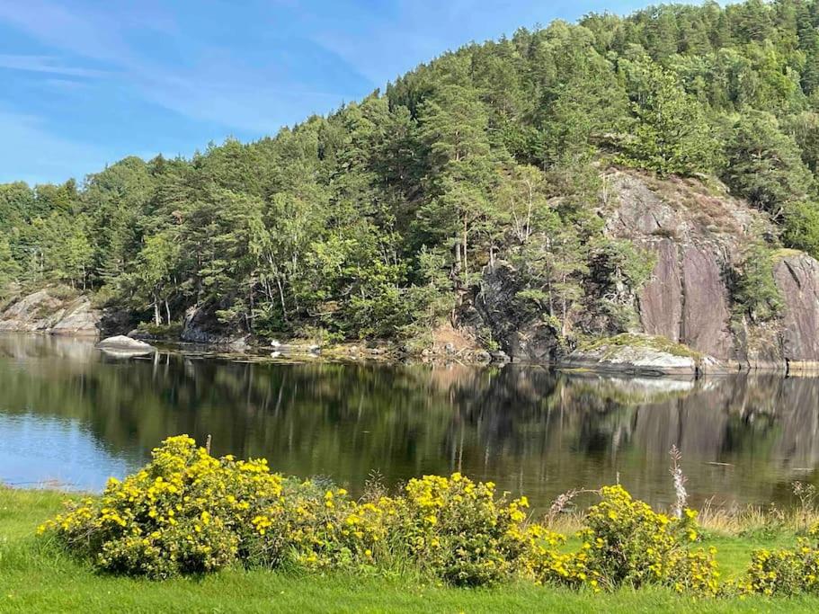 Bosvik Gård, nyrenovert leilighet i hovedhus fra 1756 photo 1
