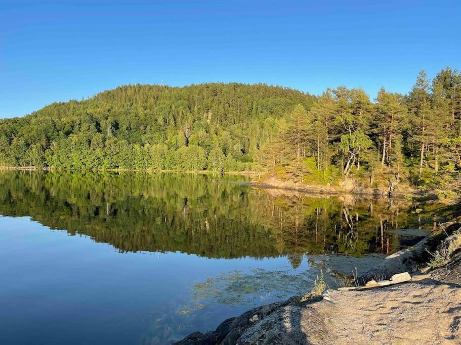 Bosvik Gård, nyrenovert leilighet i hovedhus fra 1756 photo 4