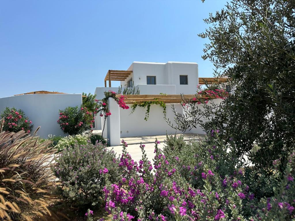 Alio Naxos Luxury Suites photo 1