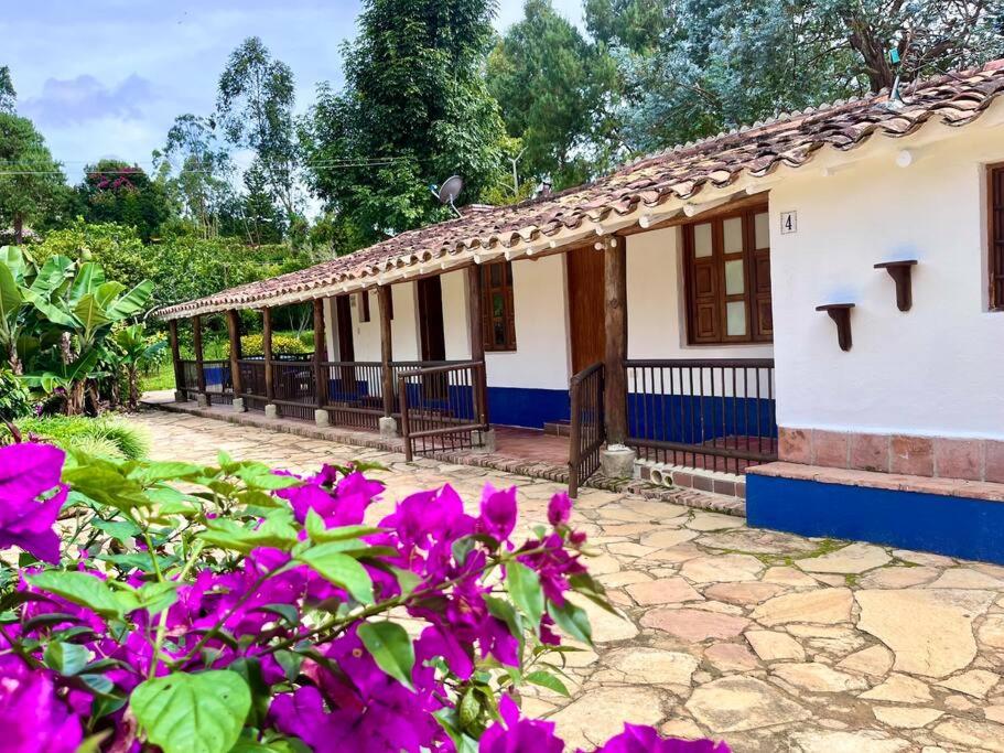 Finca rodeada de naturaleza photo 2
