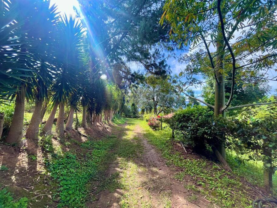 Finca rodeada de naturaleza photo 3