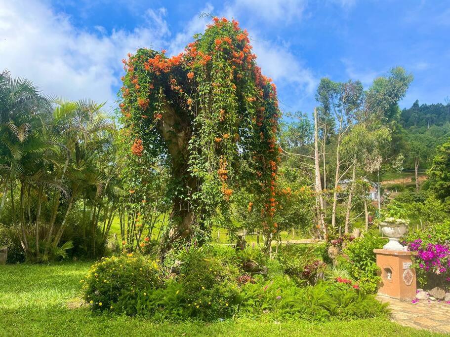 Finca rodeada de naturaleza photo 4