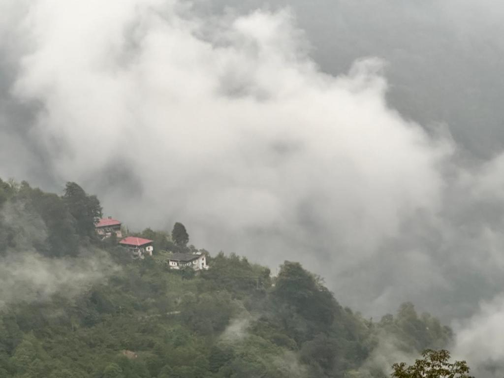 أوزونغول Uzongol Fotinos Wooden Cottage Two Bedroom photo 4