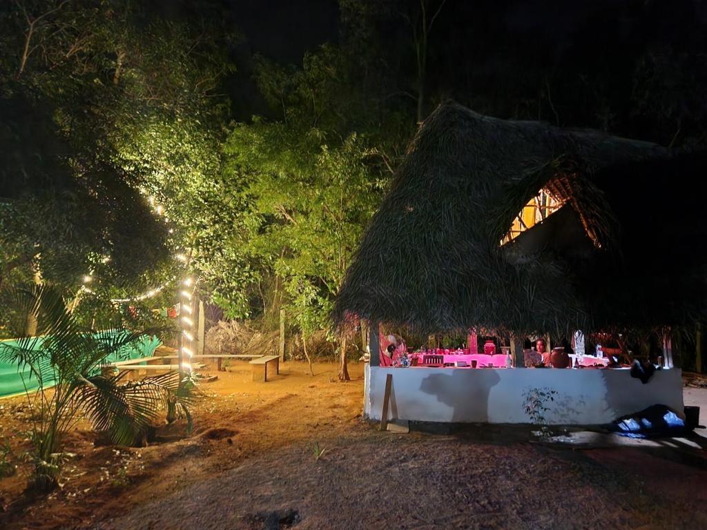Nebula Nest Cafe & Hostel photo 4
