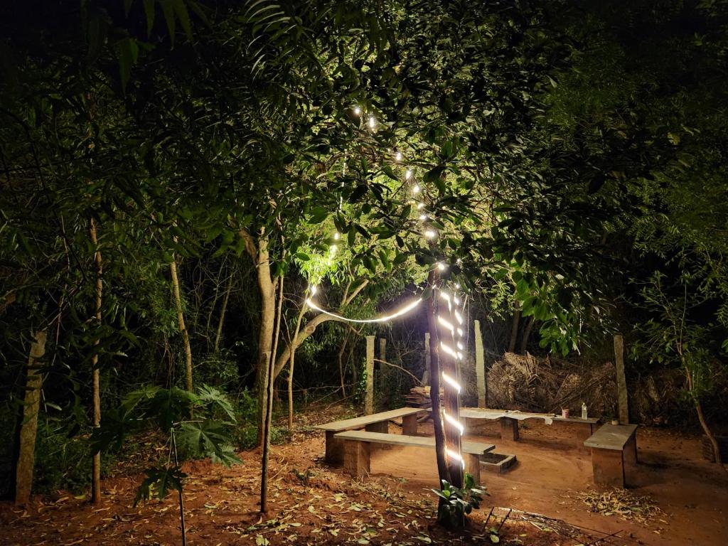 Nebula Nest Cafe & Hostel photo 2