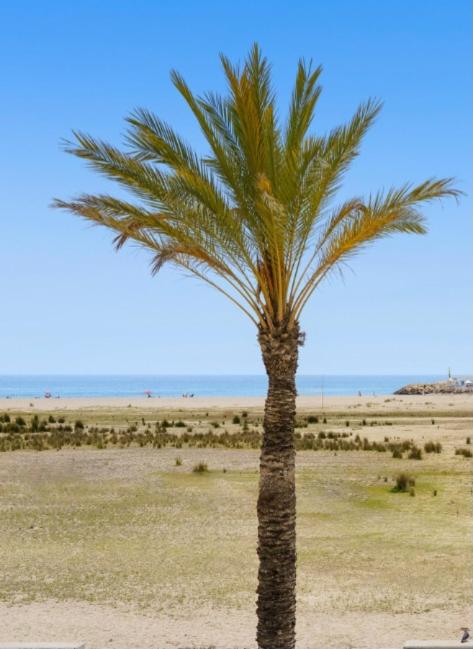 1ª LÍNEA DE PLAYA. Apartamento: LA CALMA photo 4