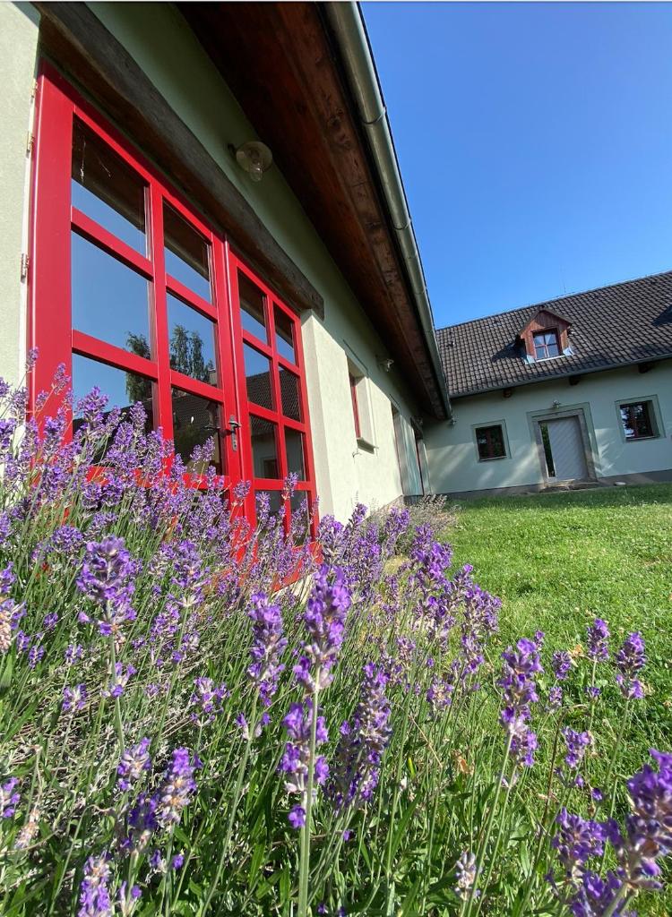 Apartmány Penzion Kateřina photo 3