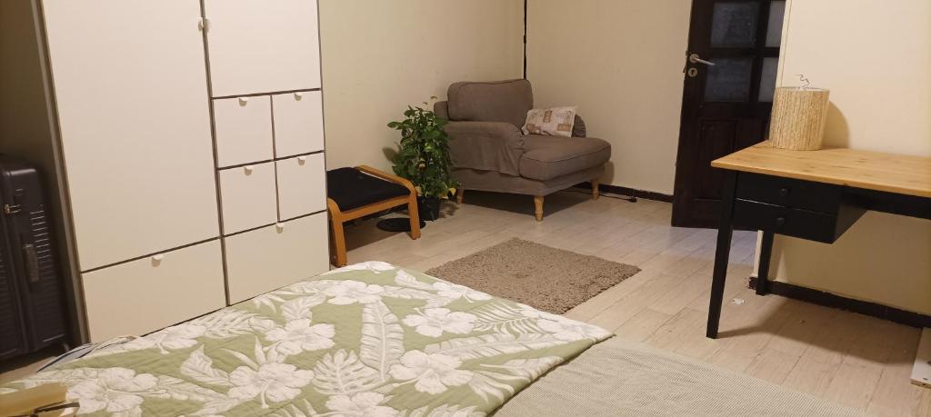 Green wooden shared apartment photo 2