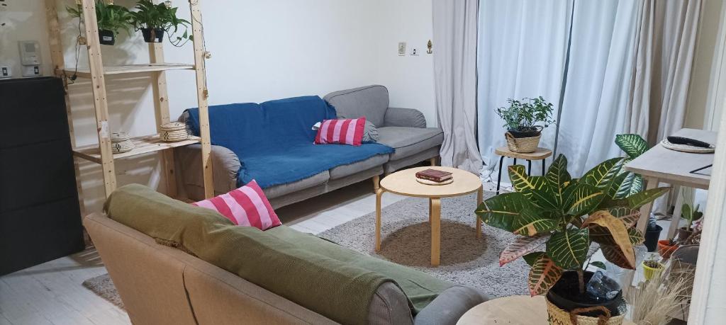 Green wooden shared apartment photo 3