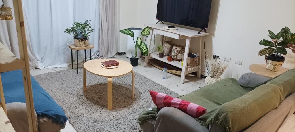 Green wooden shared apartment