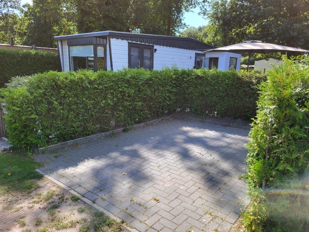 Chalet Renswouw photo 3