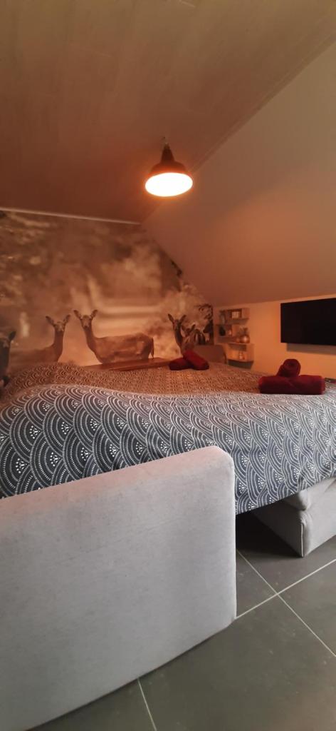 Vakantiewoning Victors Hof tot 4 pers photo 3
