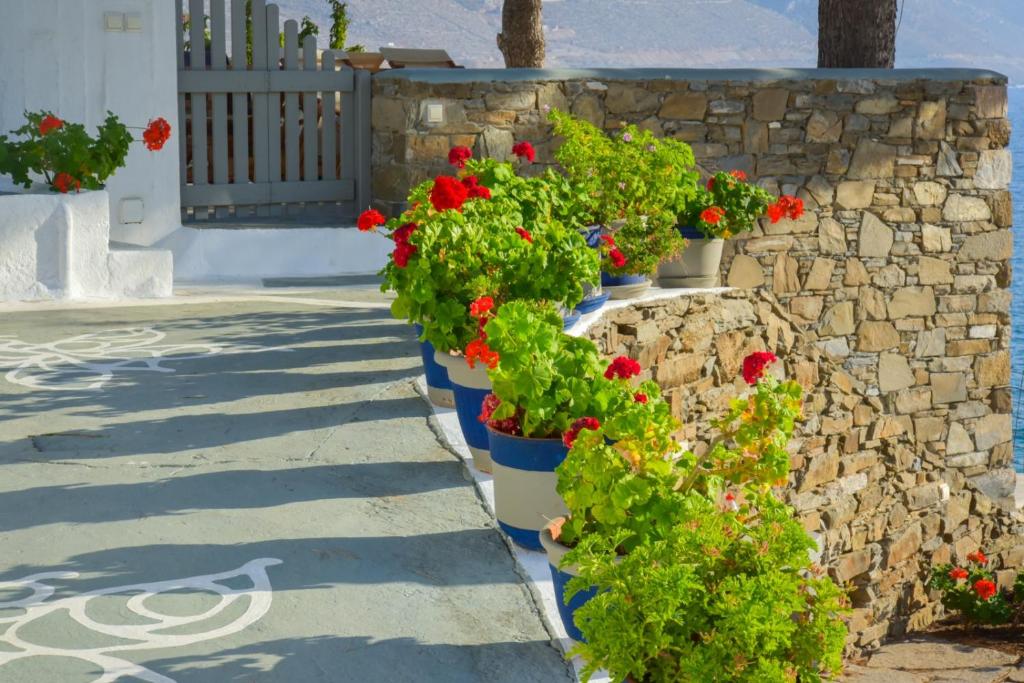 Petradi Studios & Villa photo 1
