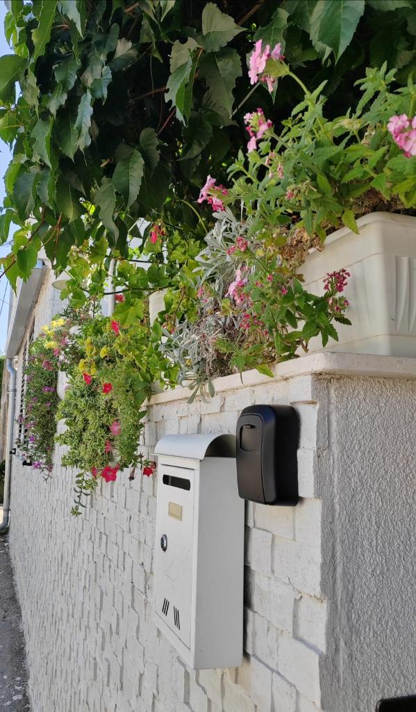 Apartman studio Otium photo 3