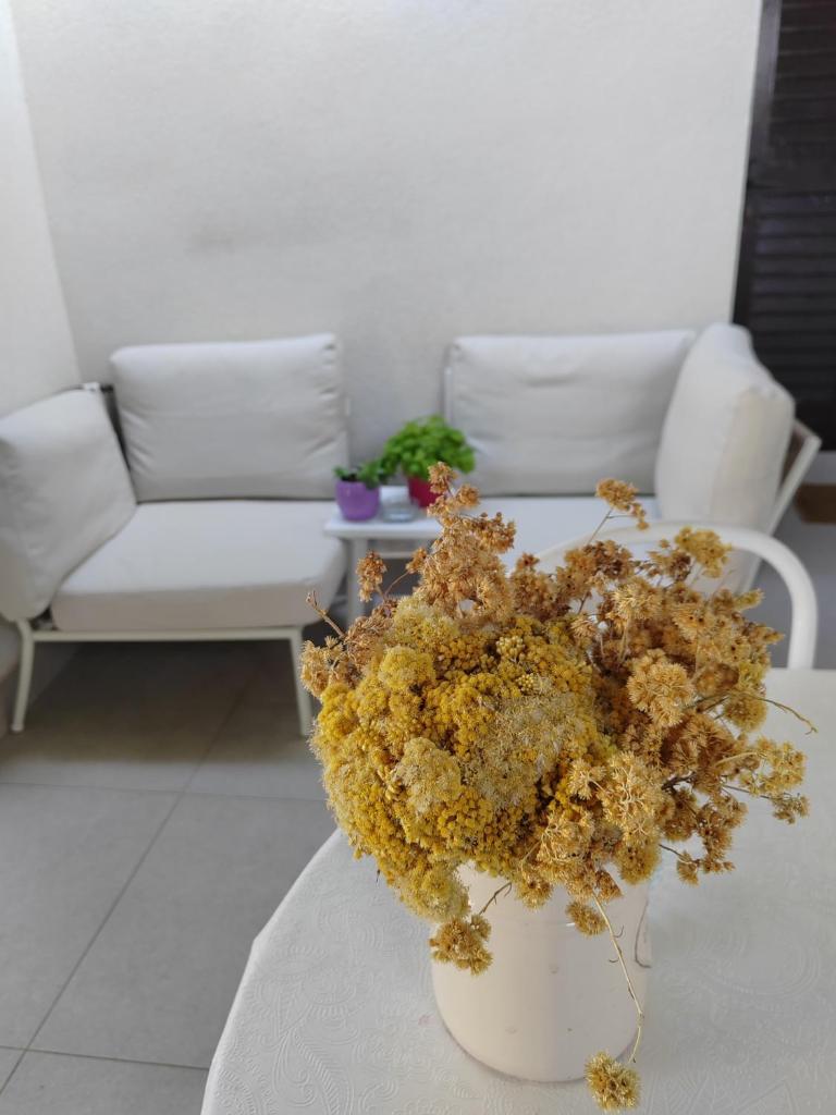 Apartman studio Otium photo 2