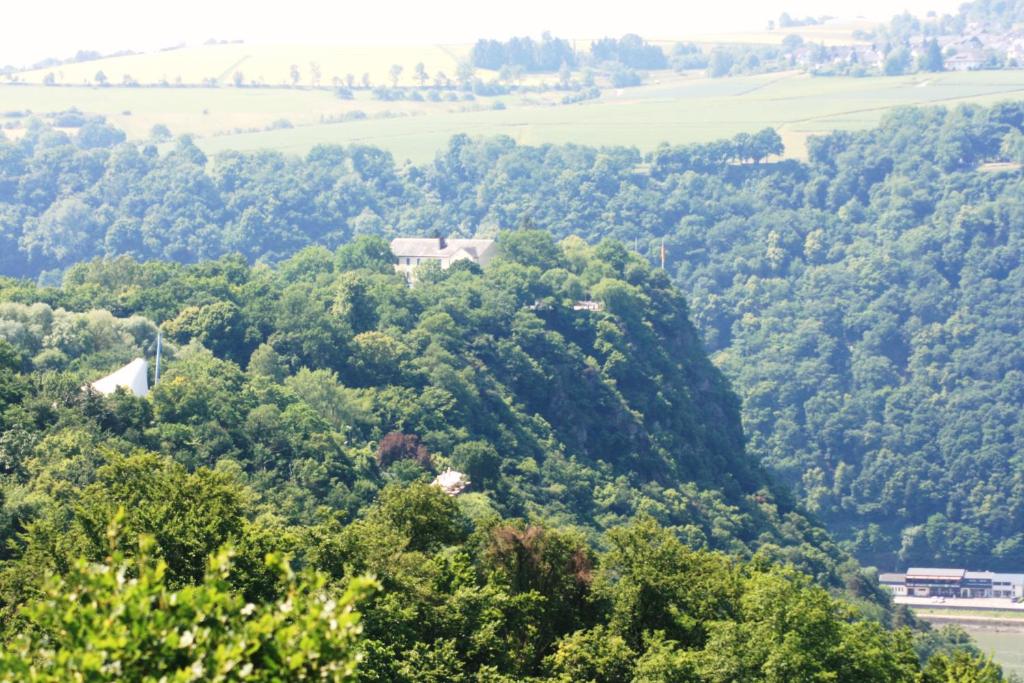 Loreley Hills photo 4
