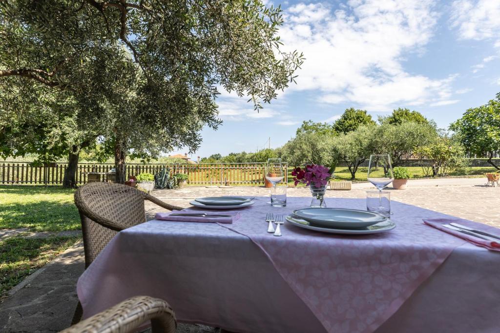 Affittacamere Cigui photo 3