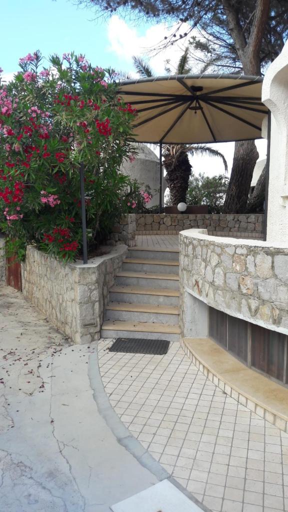 Venere Holidays photo 1