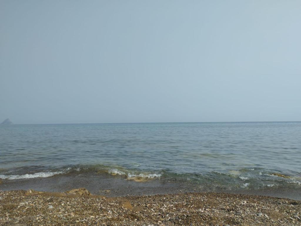Venere Holidays photo 2