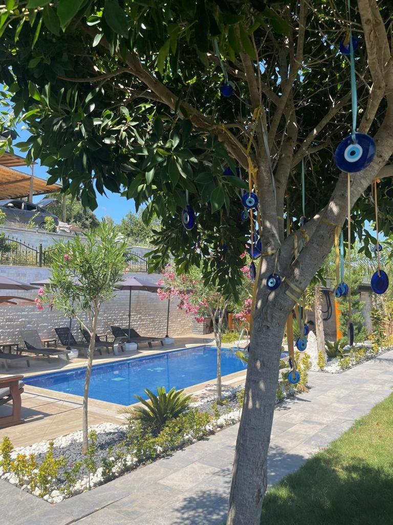 Avalon Villas Olympos photo 1