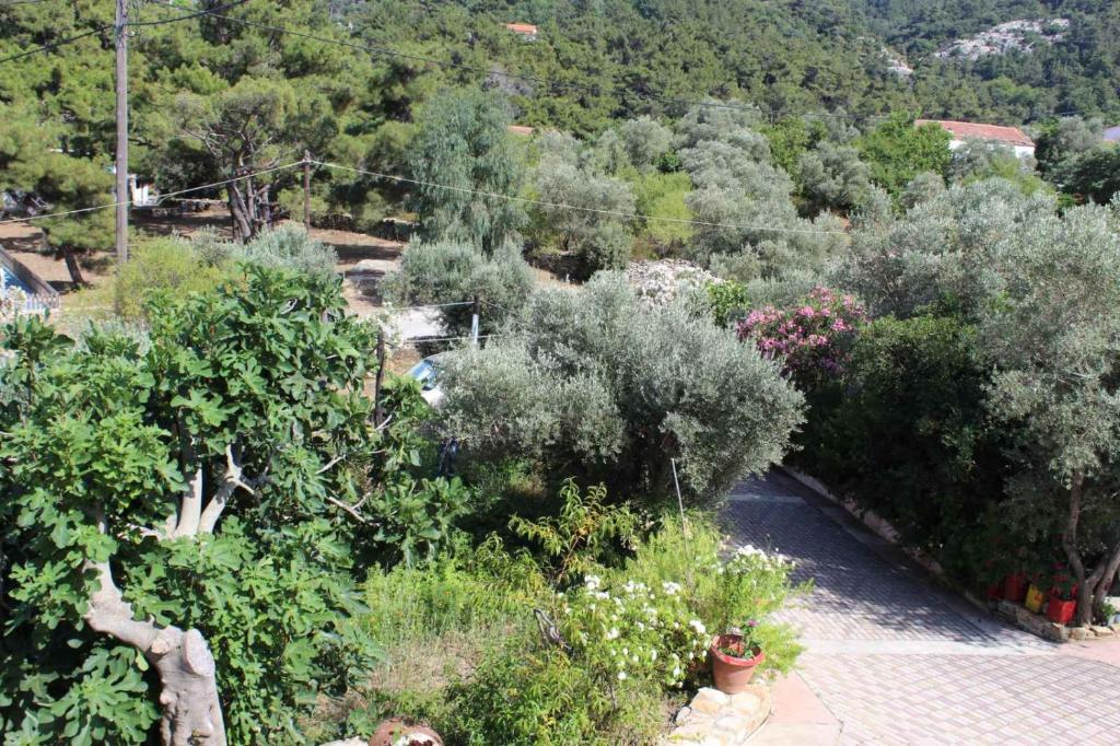 Sergi Home photo 4