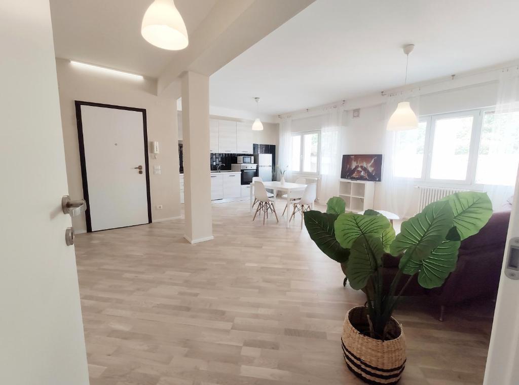 Appartamento due camere Conegliano Centro