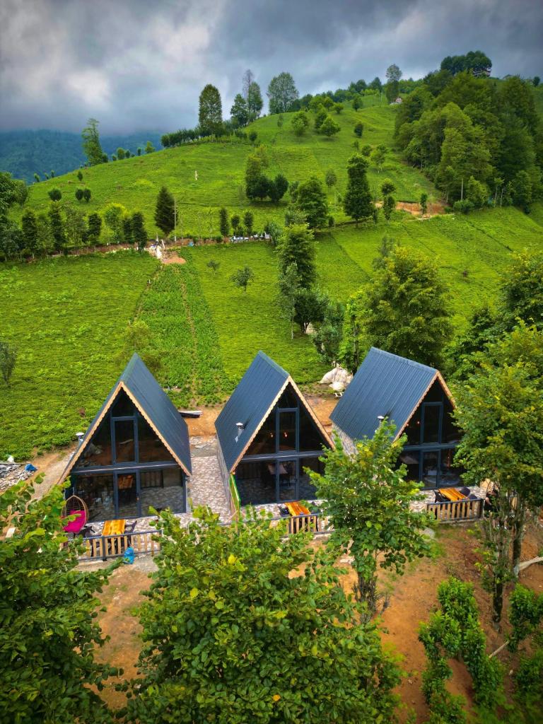 Doğallife suit bungalow photo 1