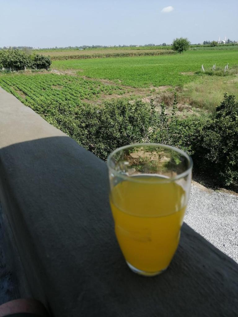 Ferienhaus Domizil photo 3