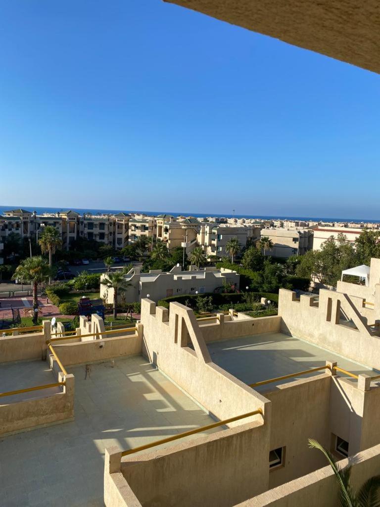 مينا تركواز photo 3