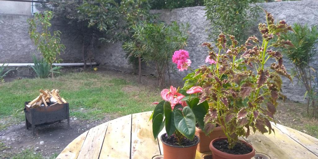 LeoSani photo 2