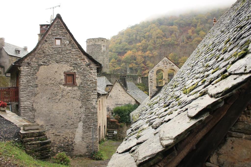 Maison calme pès de Conques en Rouergue photo 2