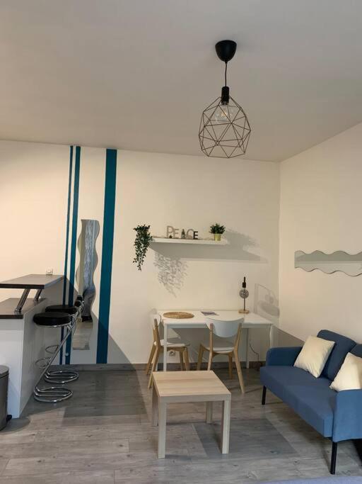 Grand studio centre ville Saint-Etienne photo 2