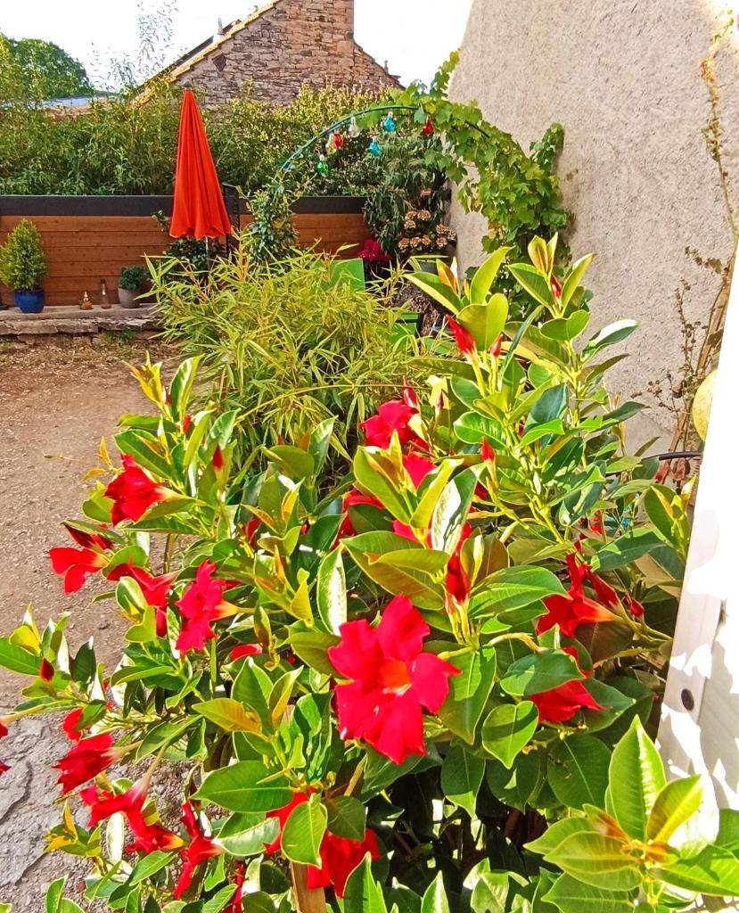 Gîte Le 16, Sous Les Trémières photo 3
