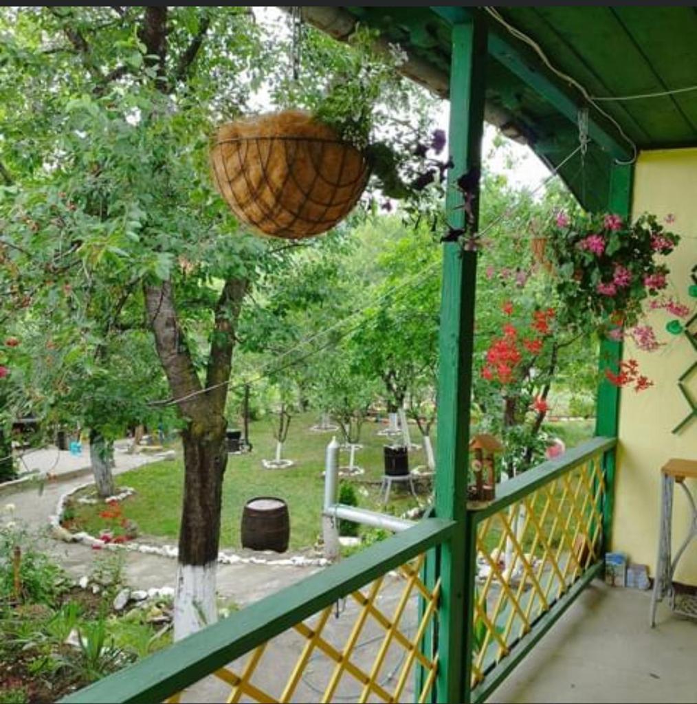 Căsuța fa rai din ce ai photo 1
